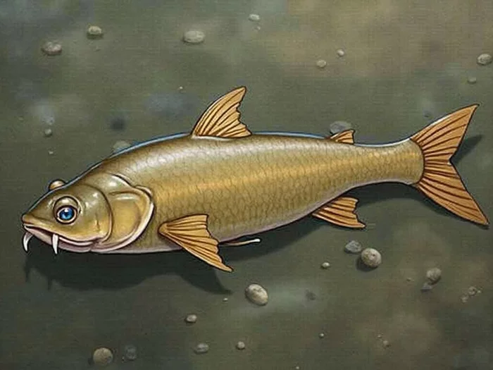 Breeding Season Planning: Timing Preparation and Maximising Spawning Success